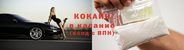гидра Каменногорск