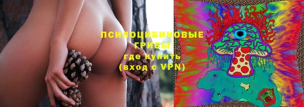соль ск Инта