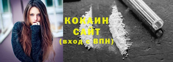 спайс Инсар